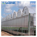 Greenhouse agricole de films de tomates multiples